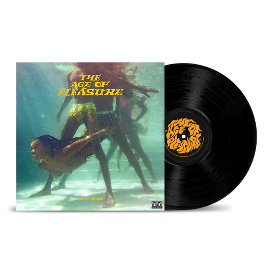 The Age of Pleasure Vinyl (alternate cover)