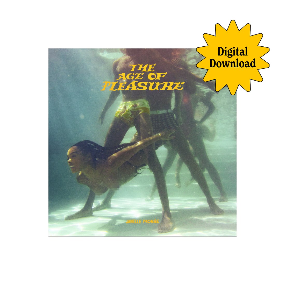 The Age of Pleasure Digital Album