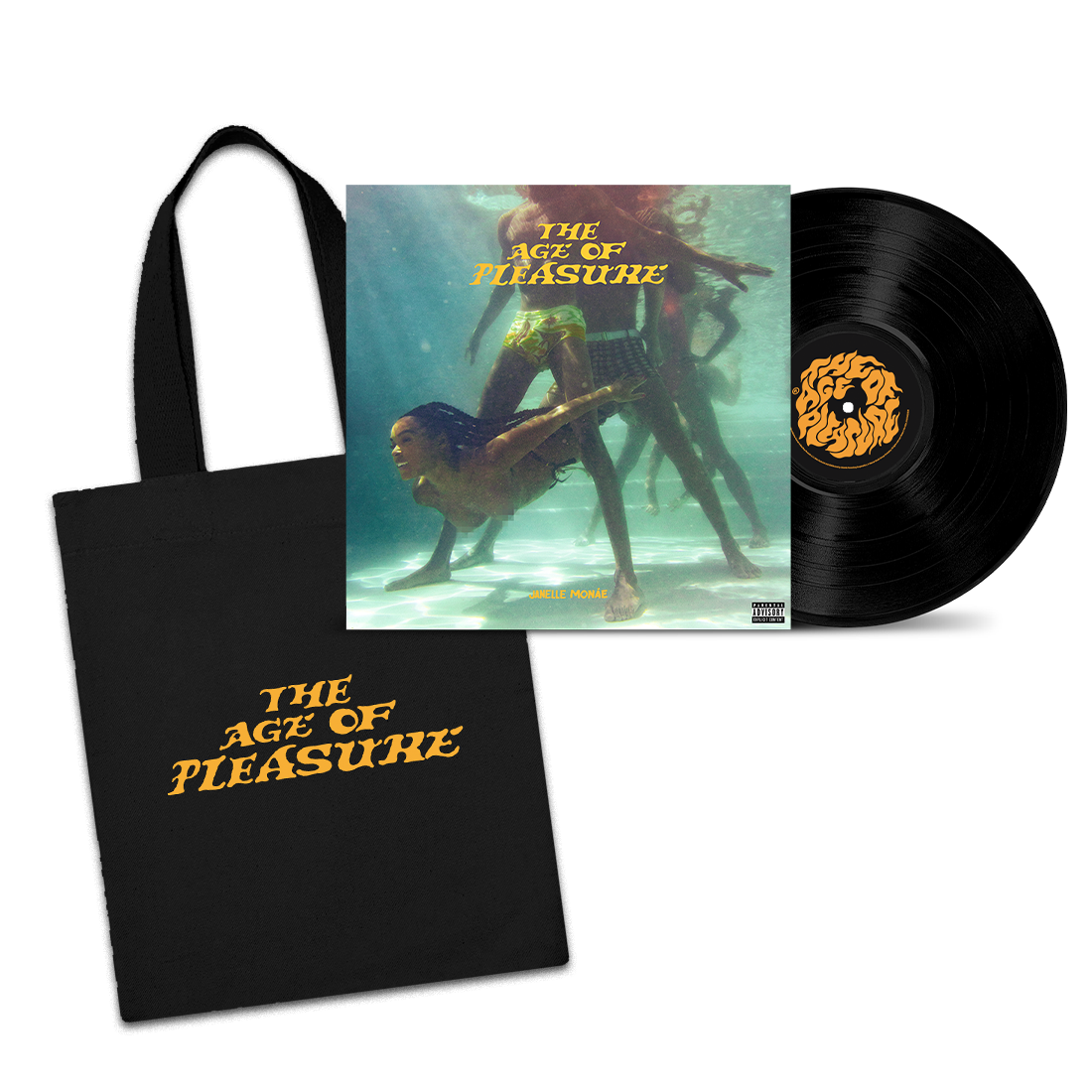 The Age of Pleasure Vinyl Bundle – Janelle Monae